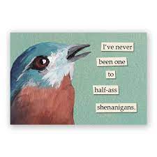 Mincing Mockingbird Magnet - Image 25