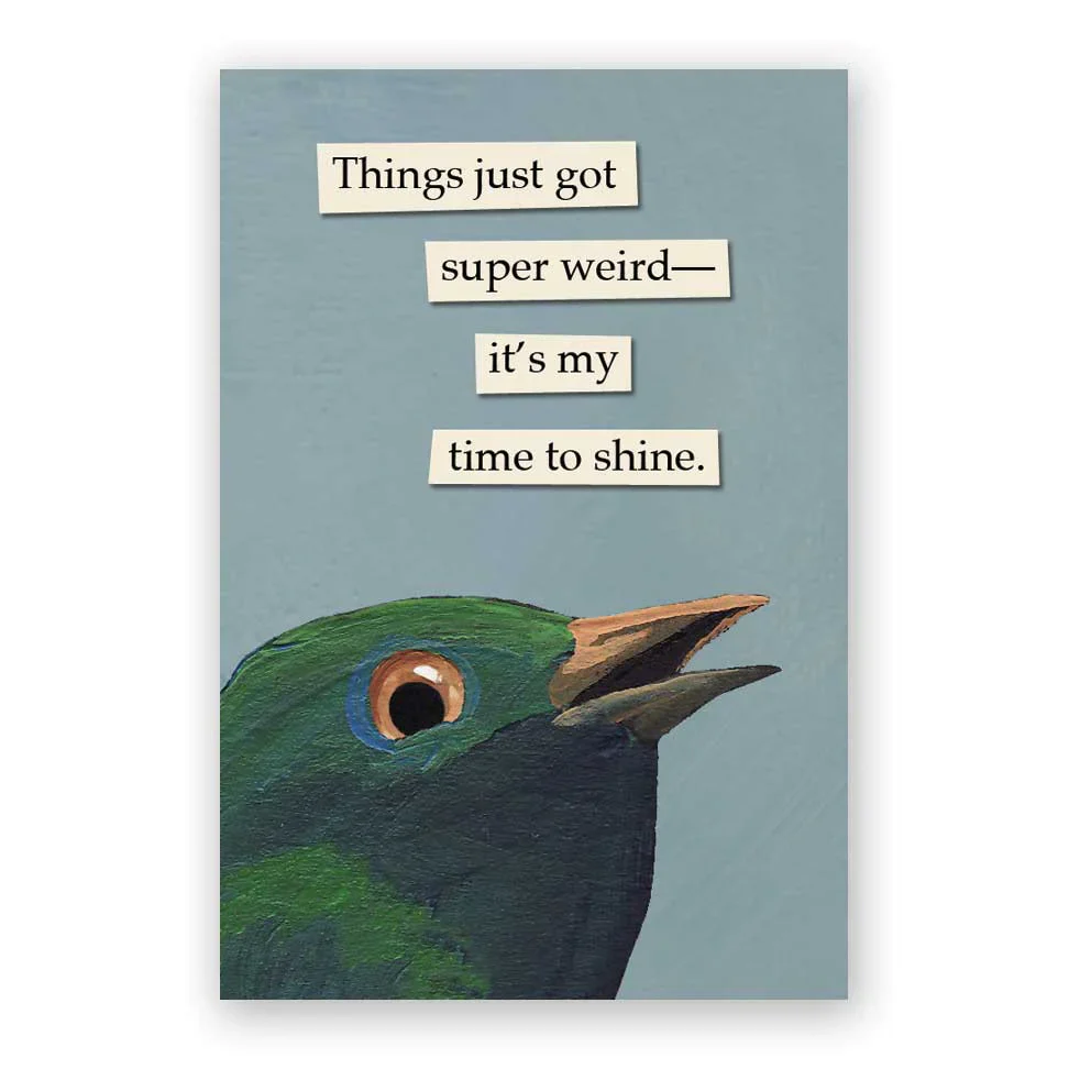 Mincing Mockingbird Magnet - Image 29