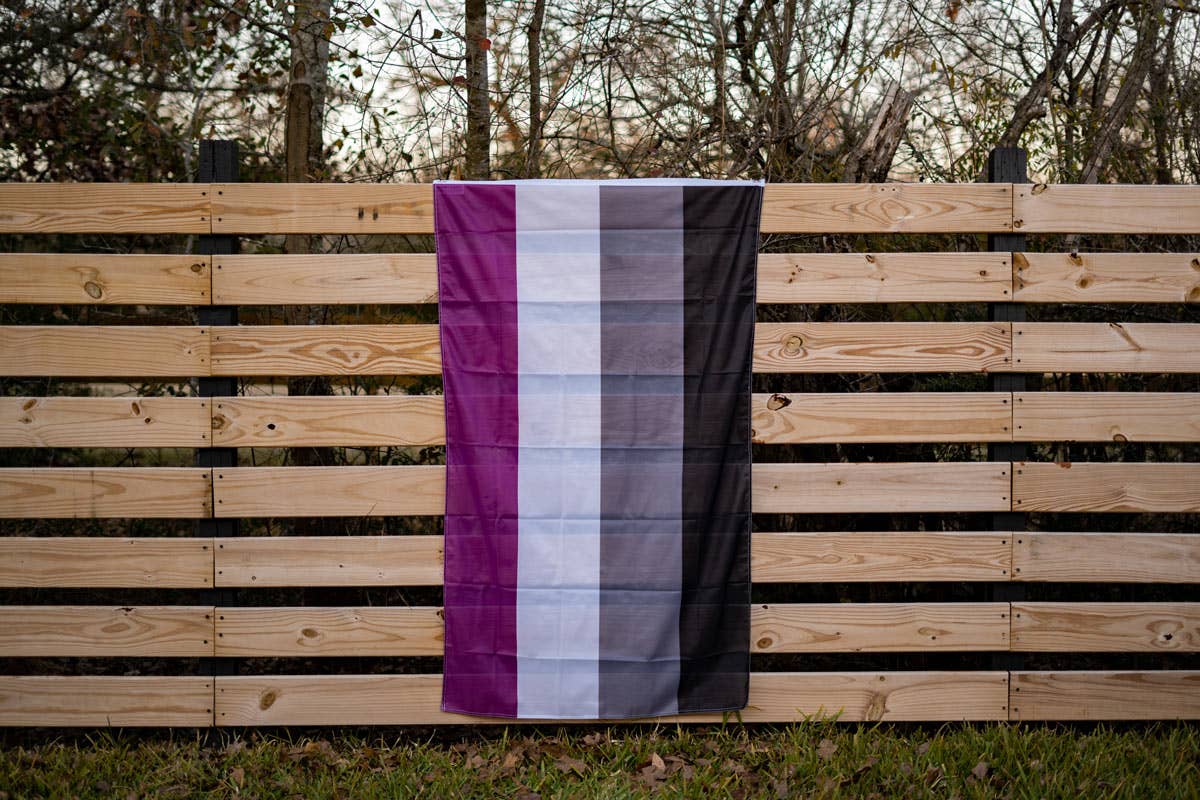 Asexual (Ace) Pride Flag - Image 5