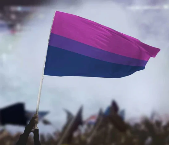 Bisexual Pride Flag - Image 3