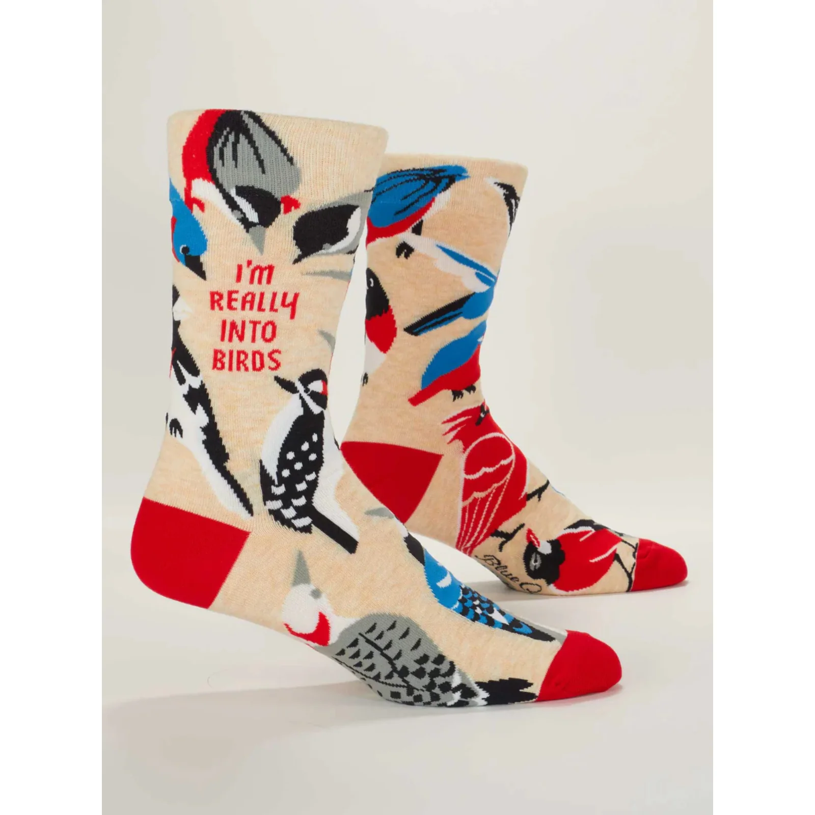 Blue Q Men's Socks 'I'm Really Into Birds'