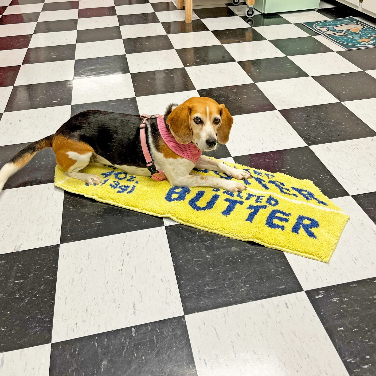 A Shop of Things Butter Rug - Image 3