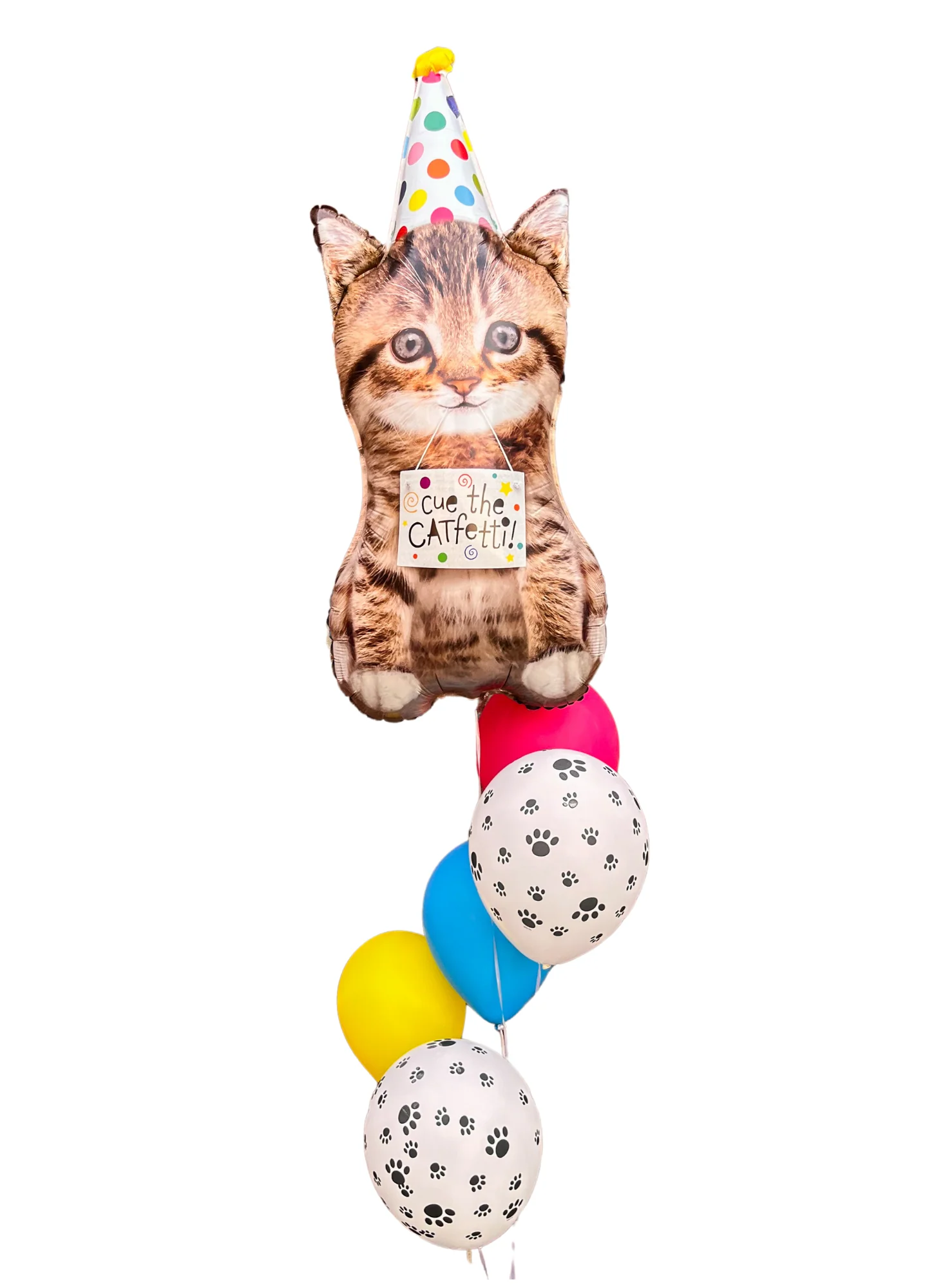 Catfetti Balloon Bundle