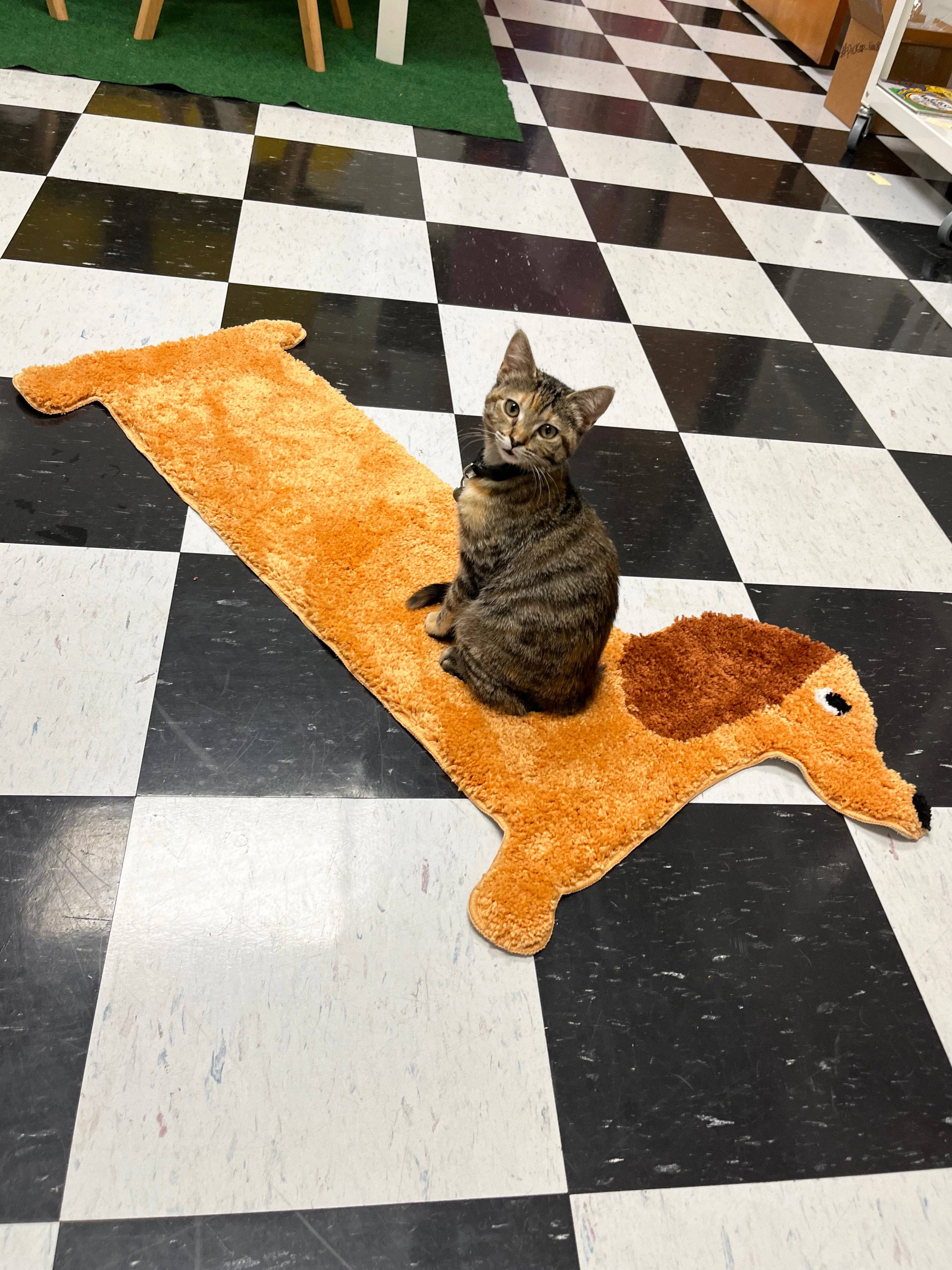 A Shop of Things Dog Rug
