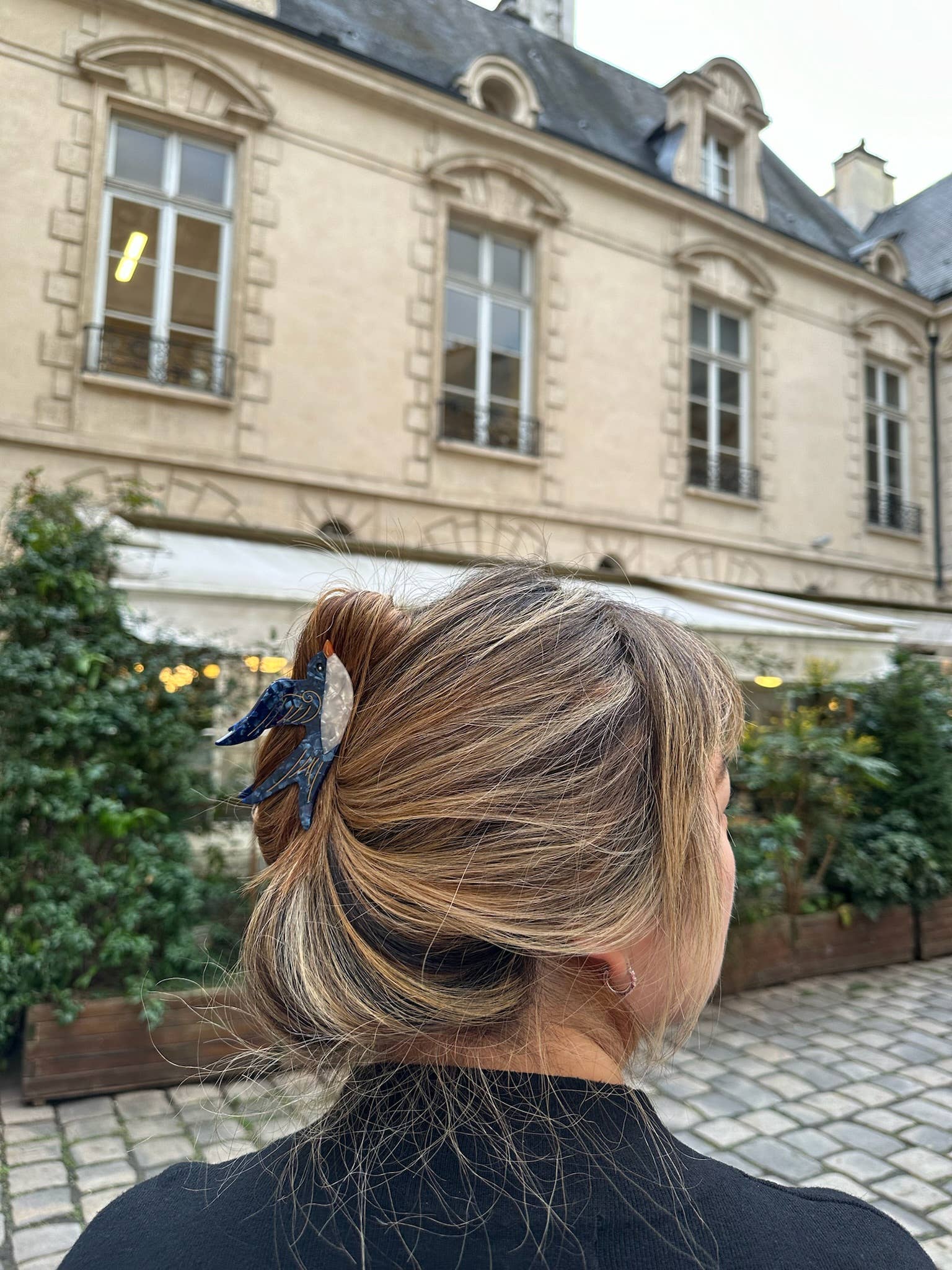 Hand-painted Swallow Bird Claw Hair Clip - Image 2