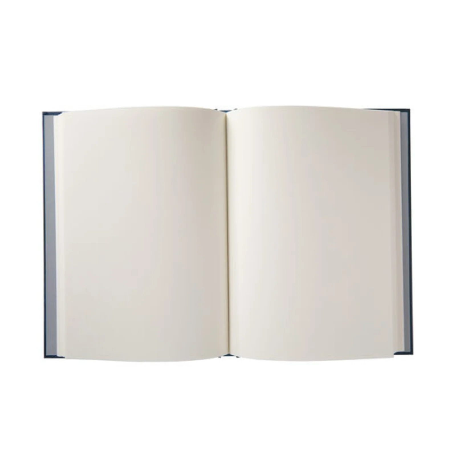 Hilma af Klint Blue Notebook - Image 2