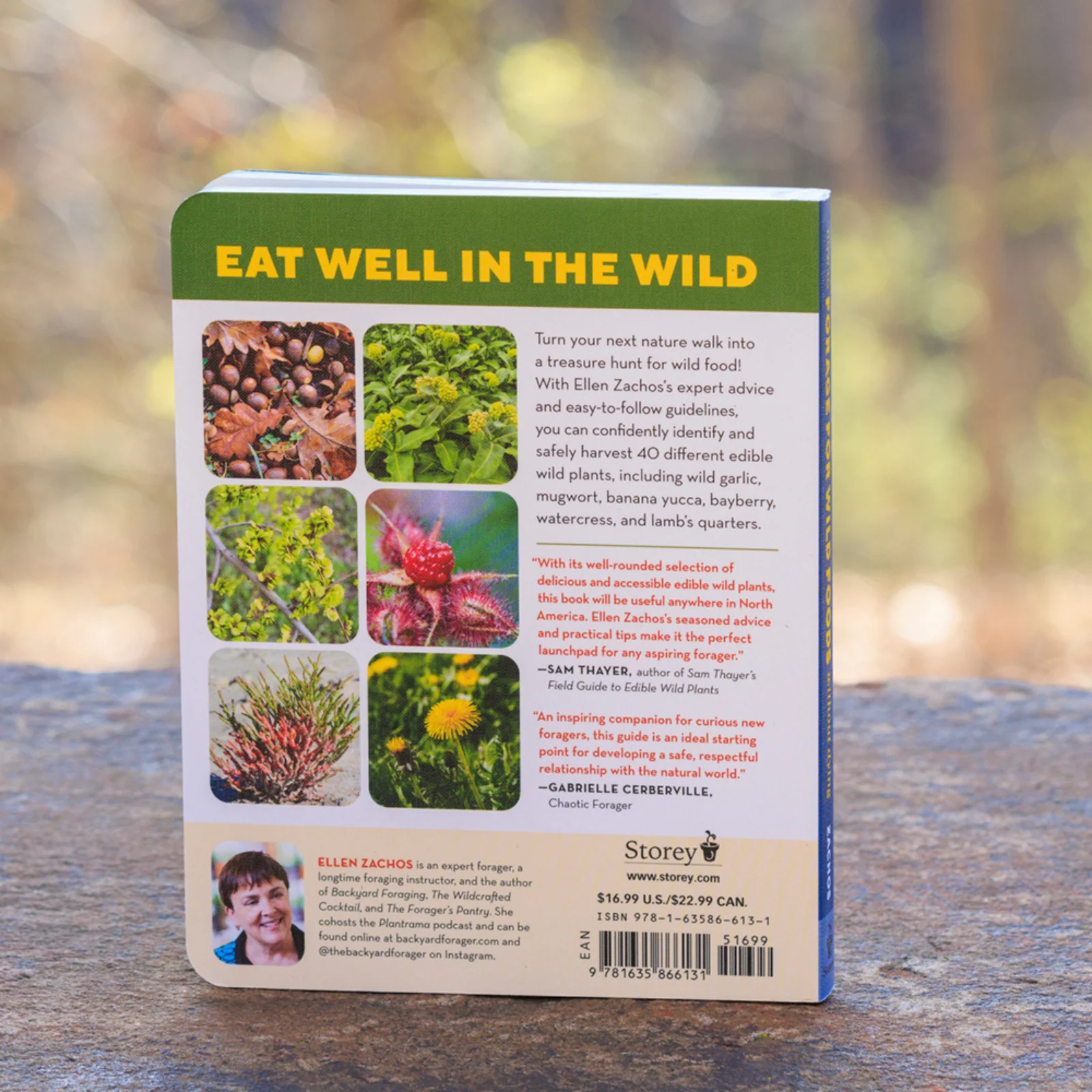 How to Forage for Wild Foods Without Dying - Image 2
