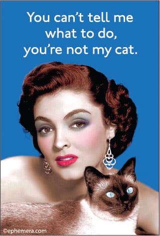 You Can't Tell Me What To Do, You're Not My Cat - Magnet
