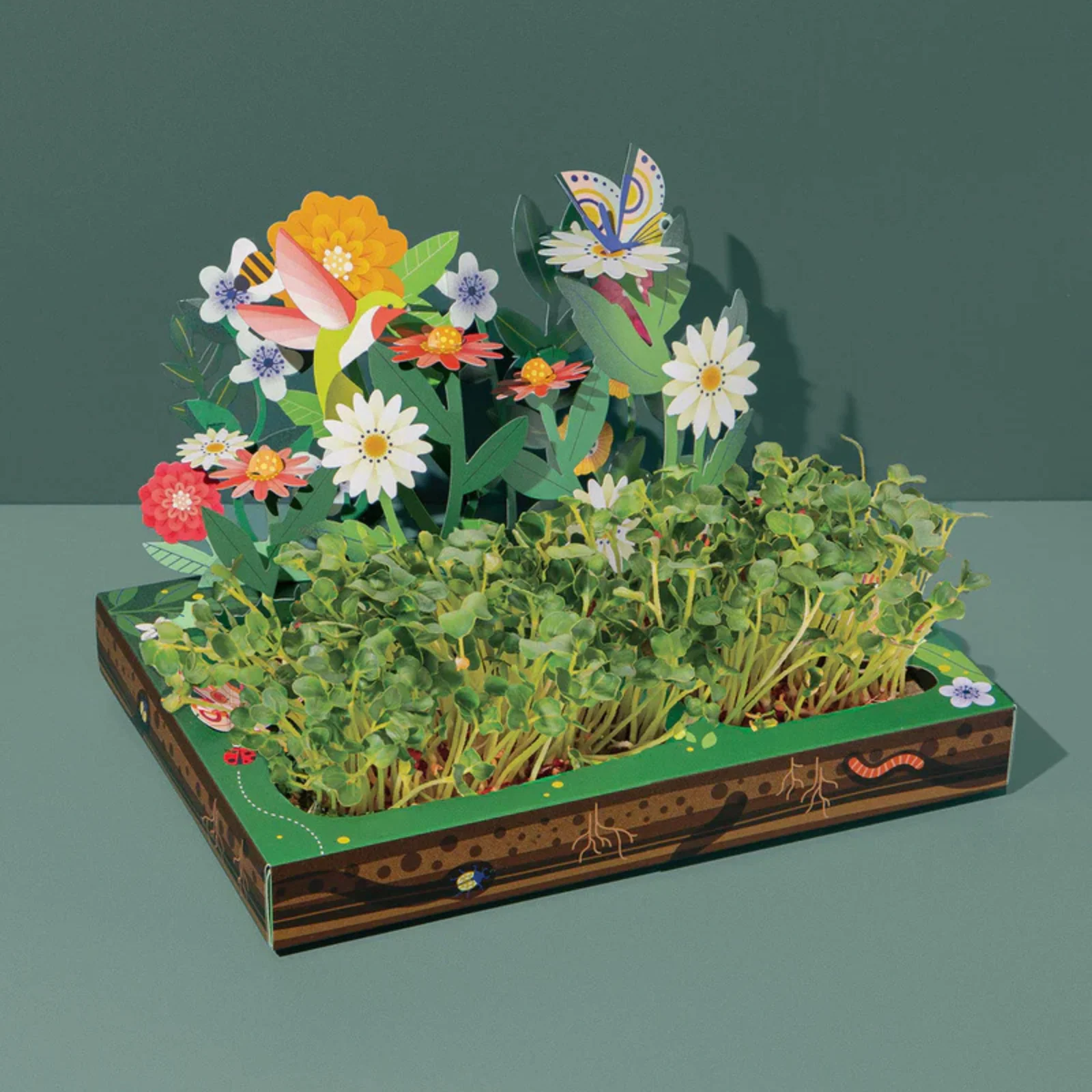Microgreens - Pollinator - Image 2