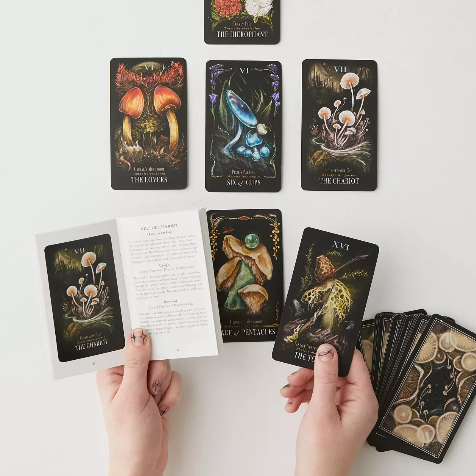 Midnight Magic: Tarot Deck of Mushrooms - Image 2