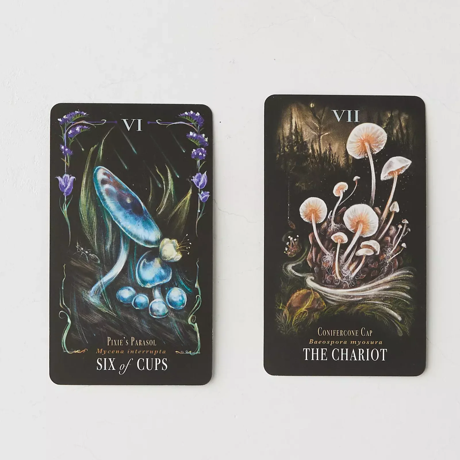 Midnight Magic: Tarot Deck of Mushrooms - Image 3