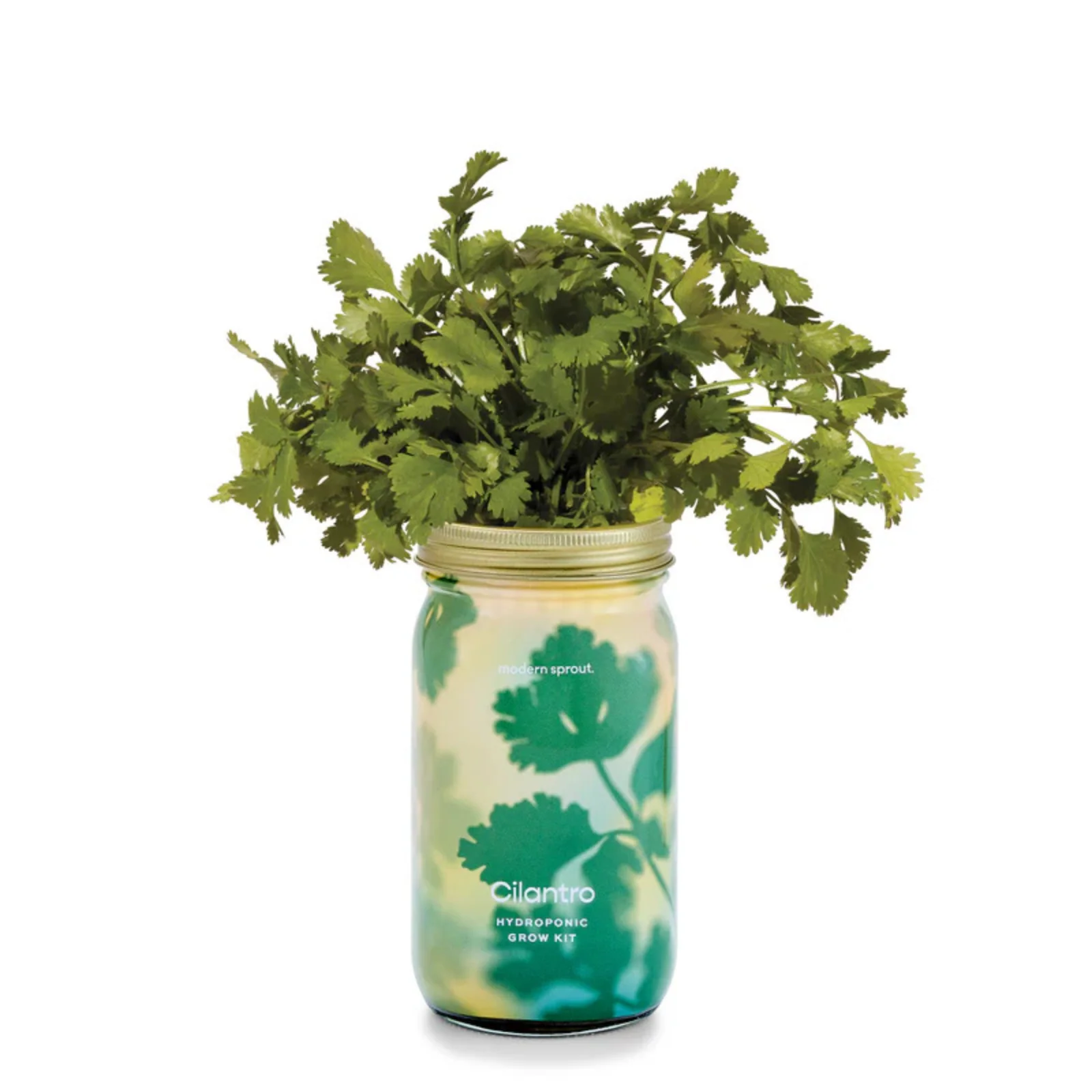 Modern Sprout Hydroponic Garden Jar - Image 3