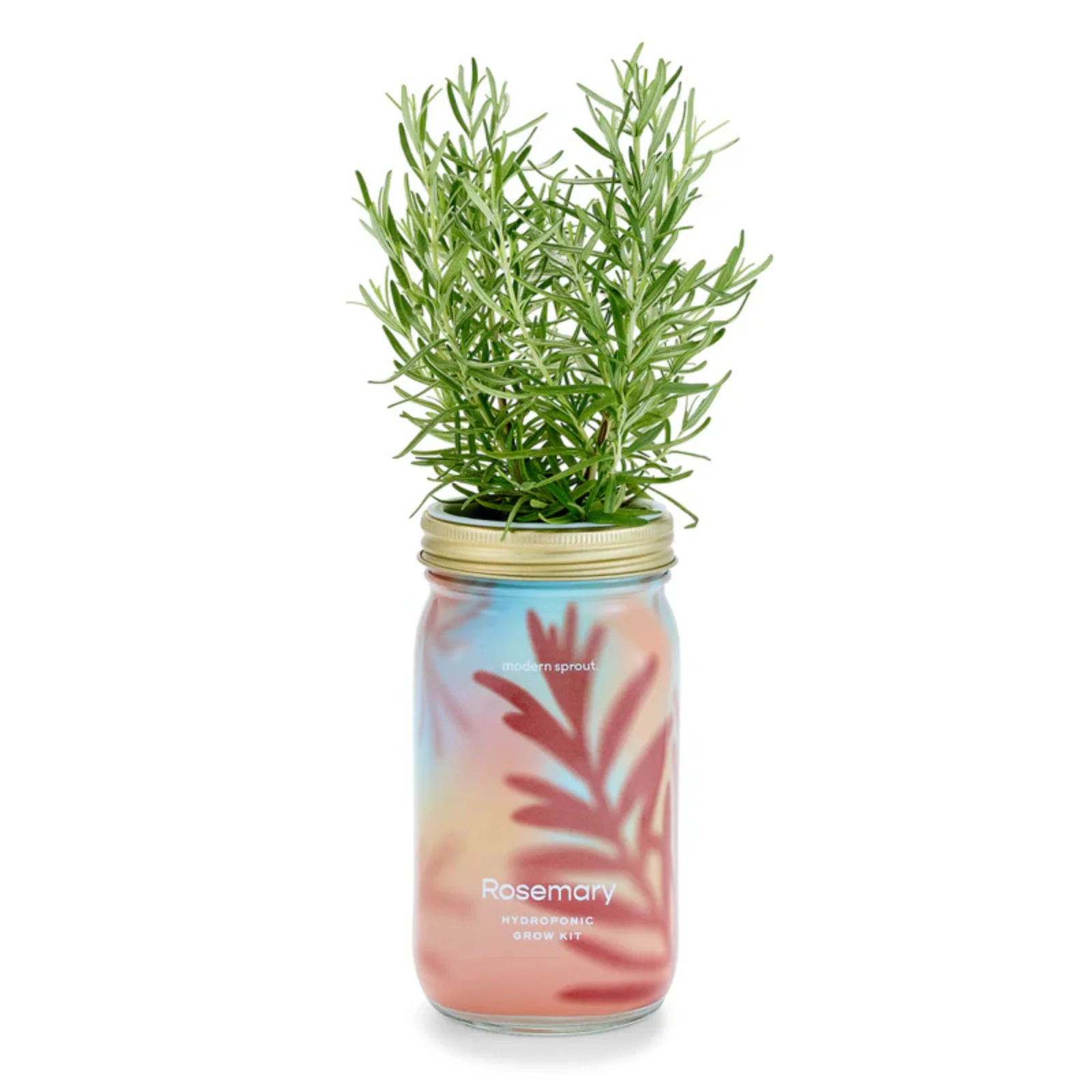 Modern Sprout Hydroponic Garden Jar - Image 6