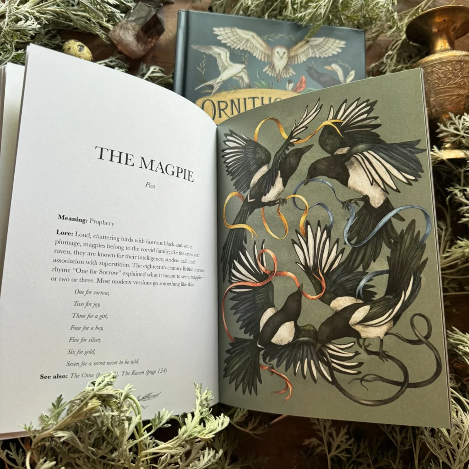 Ornithography: An Illustrated Guide to Bird Lore & Symbolism - Image 3