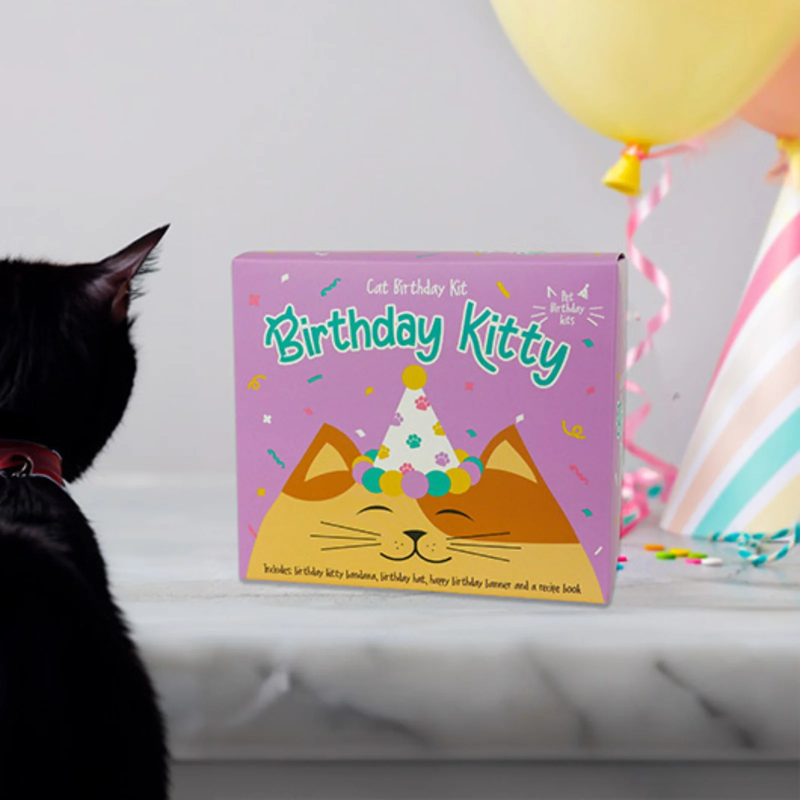 Pet Birthday Party Kit - Cat
