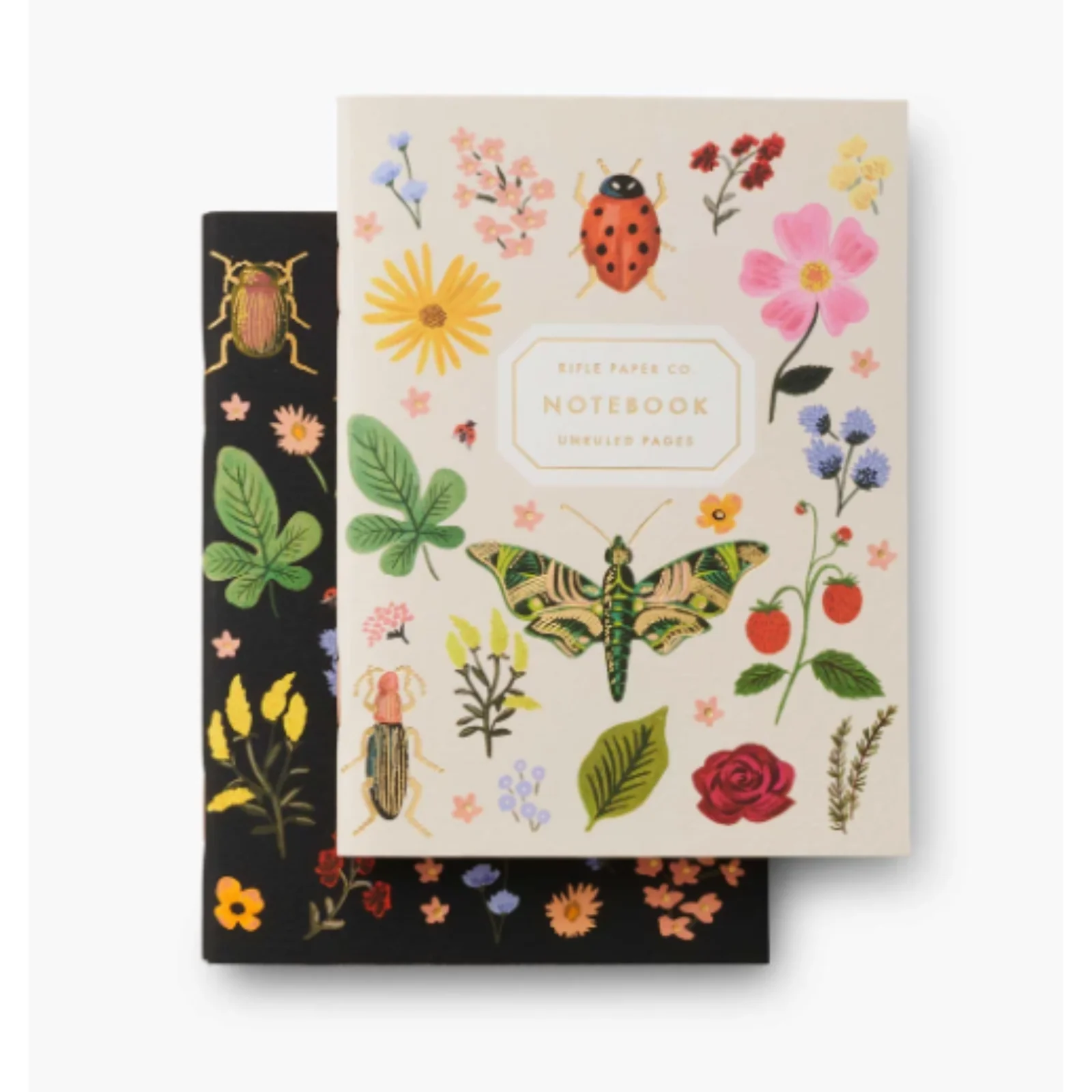 Rifle Paper Co. Pair of Pocket Notebooks - Curio