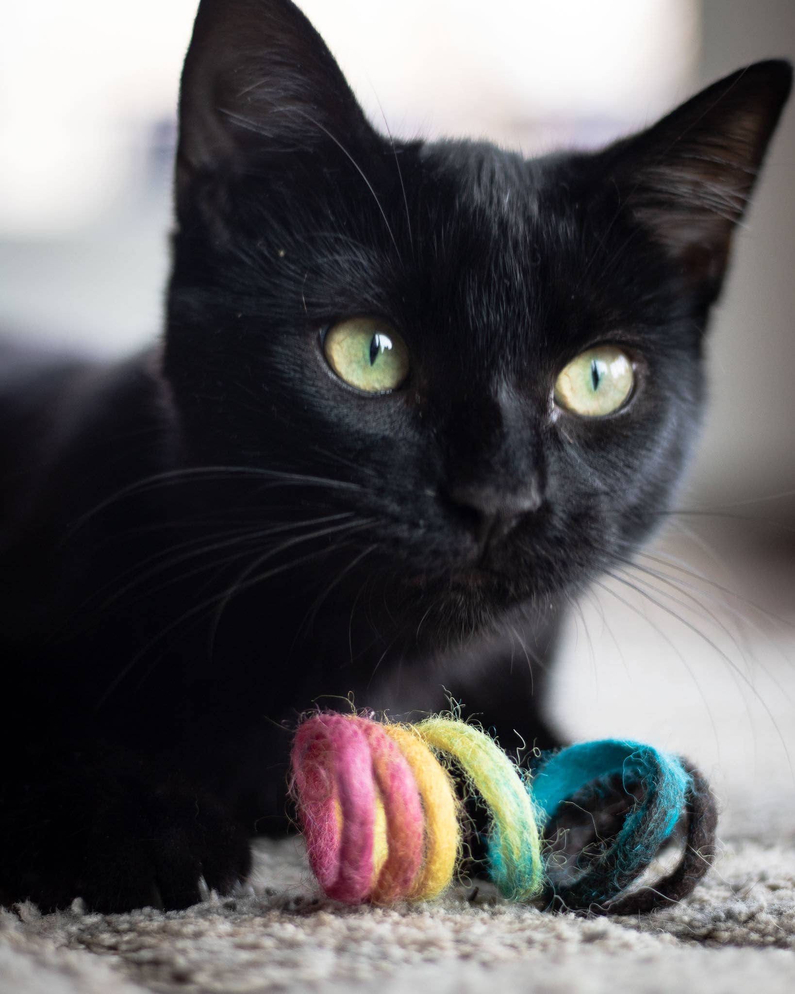 Spring Eco Toy - Rainbow