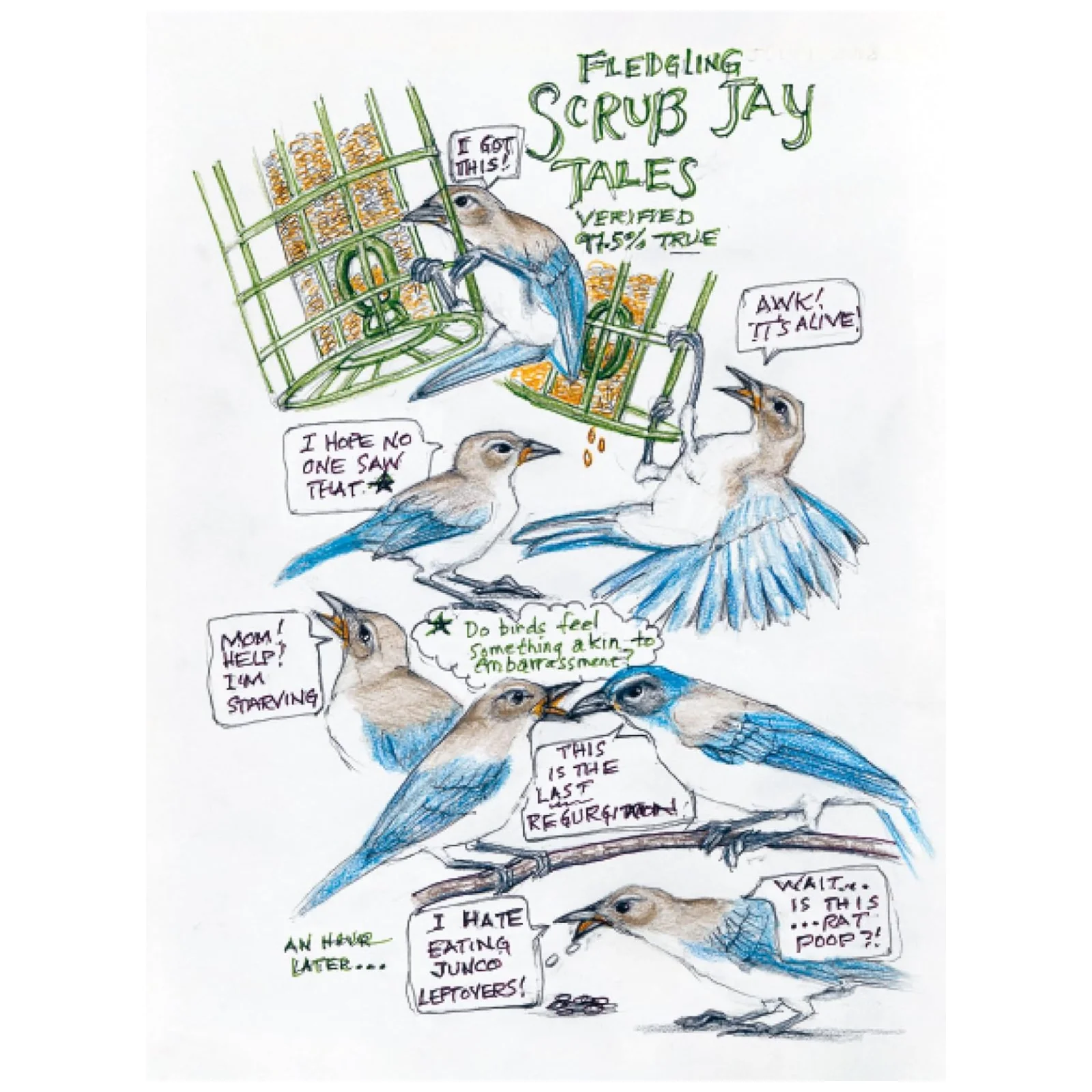 The Backyard Bird Chronicles - Image 3