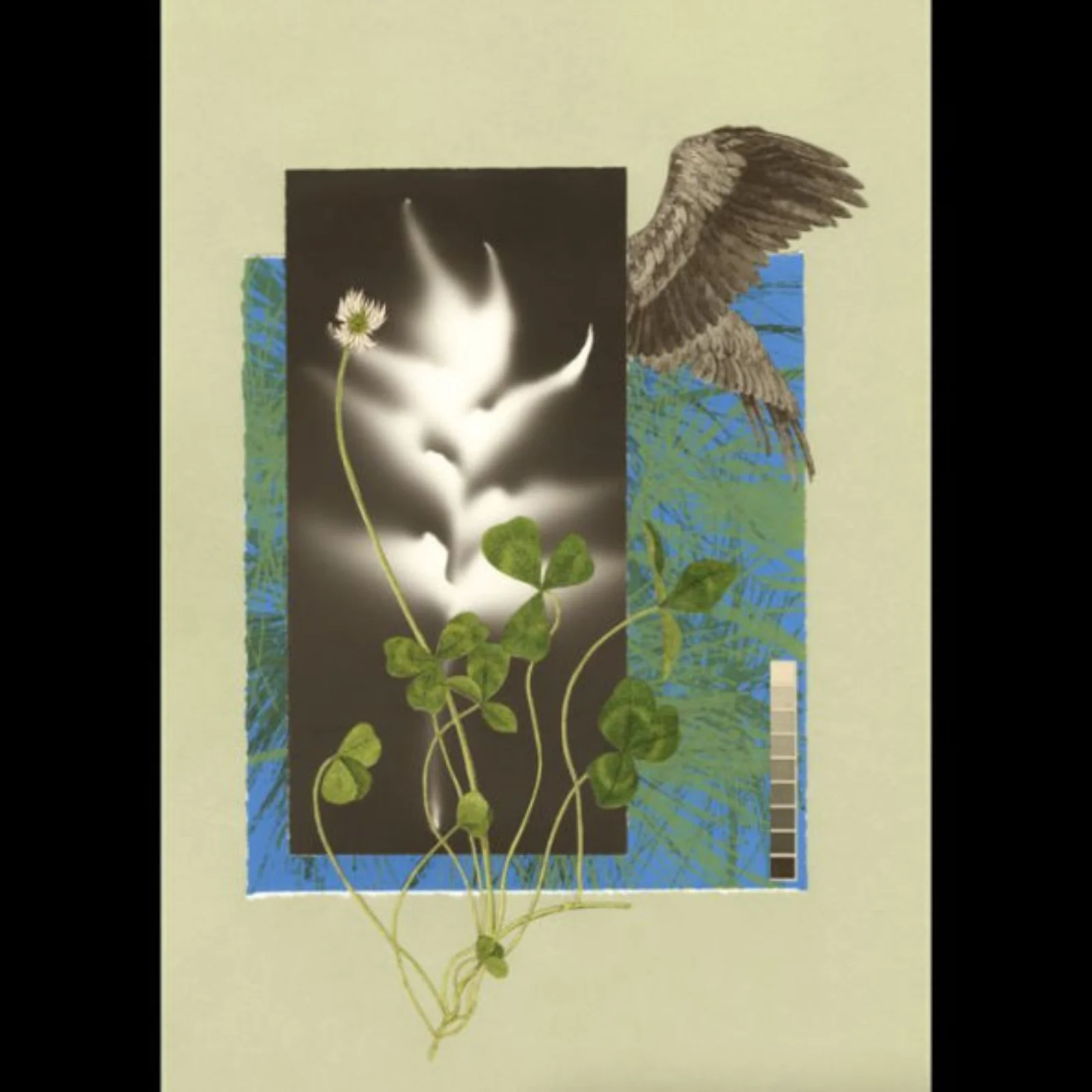 The Comfort of Crows: A Backyard Year - Image 3