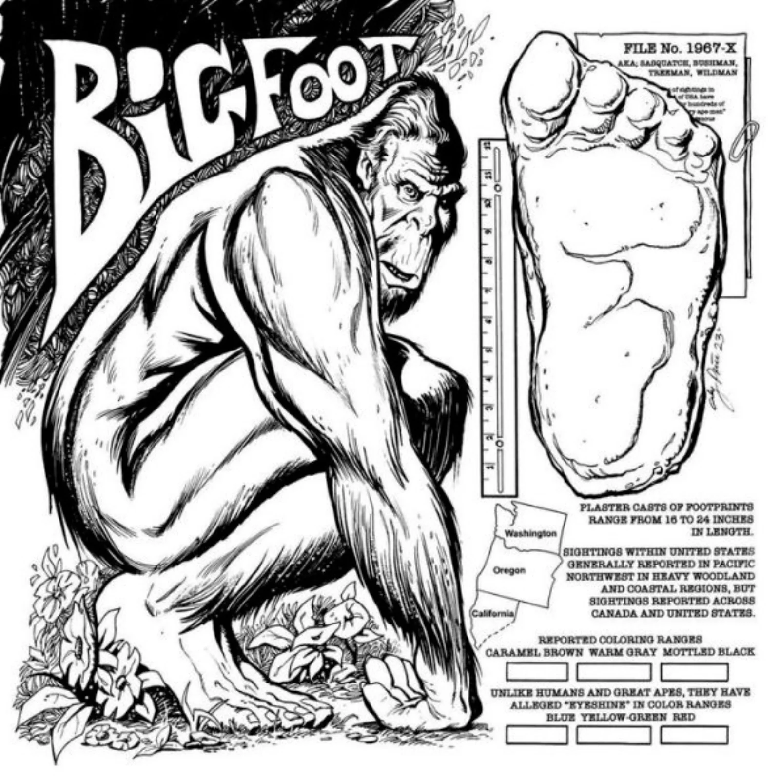 The Cryptid Creatures Coloring Book - Image 3