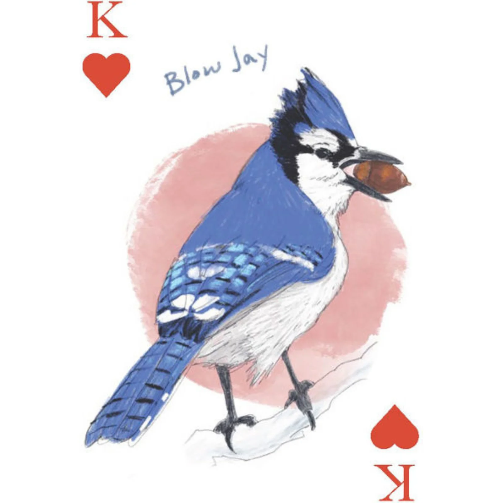 The Field Guide to Dumb Birds Playing Cards: 2-Deck Set - Image 2