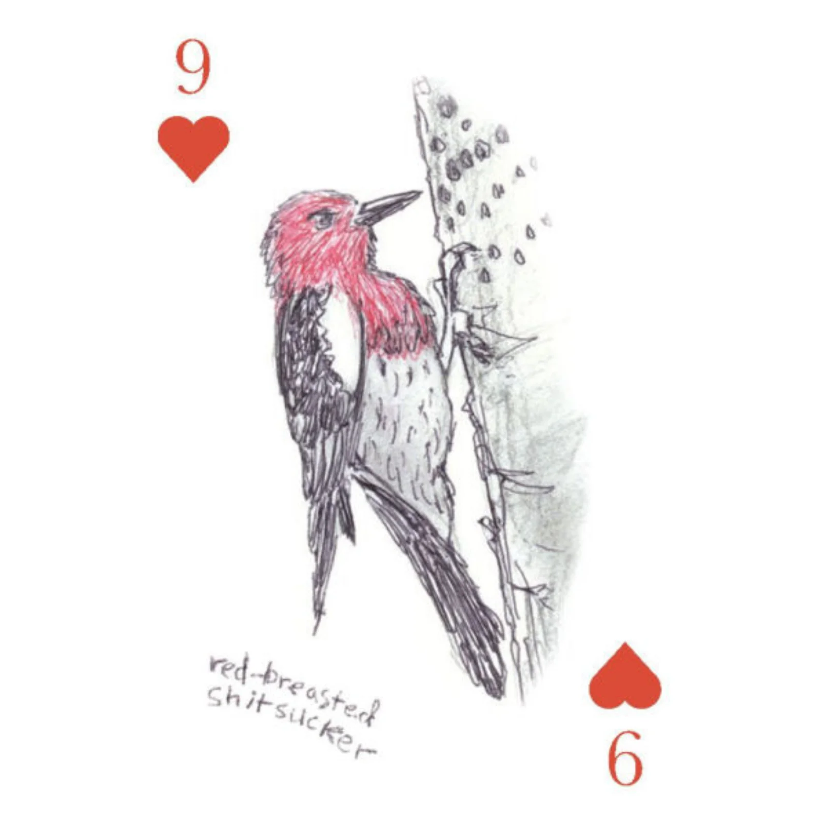 The Field Guide to Dumb Birds Playing Cards: 2-Deck Set - Image 3