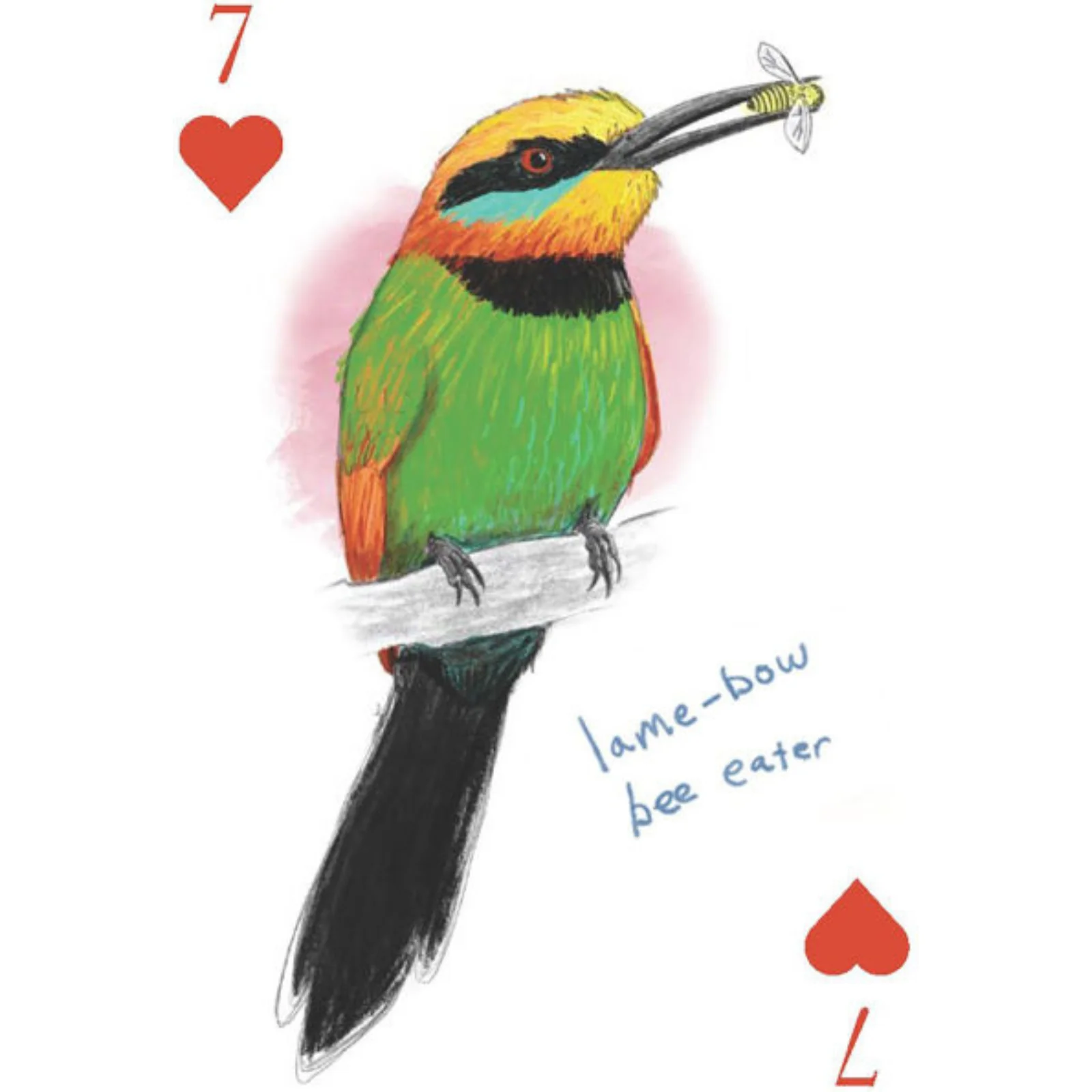 The Field Guide to Dumb Birds Playing Cards: 2-Deck Set - Image 4