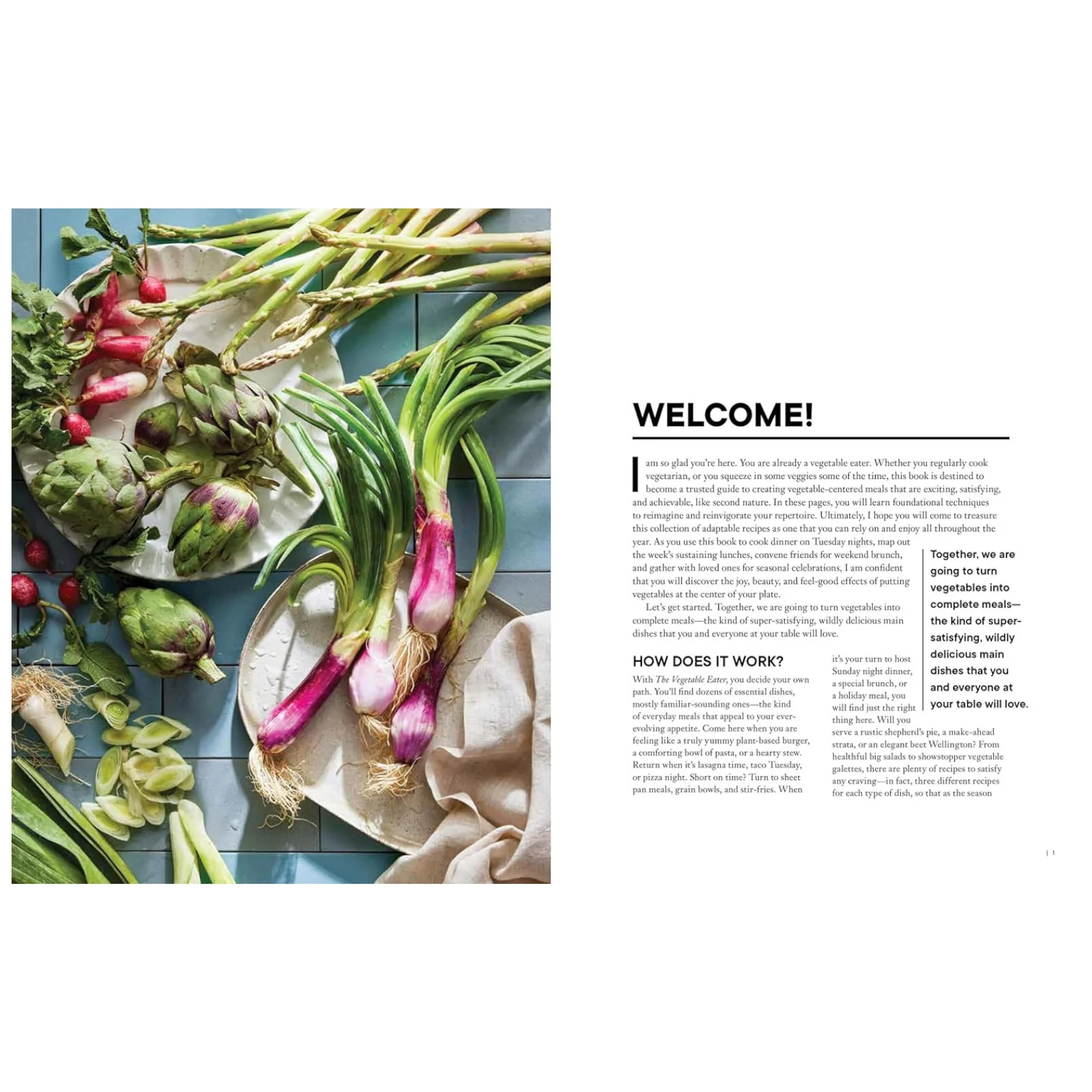 The Vegetable Eater - Image 2