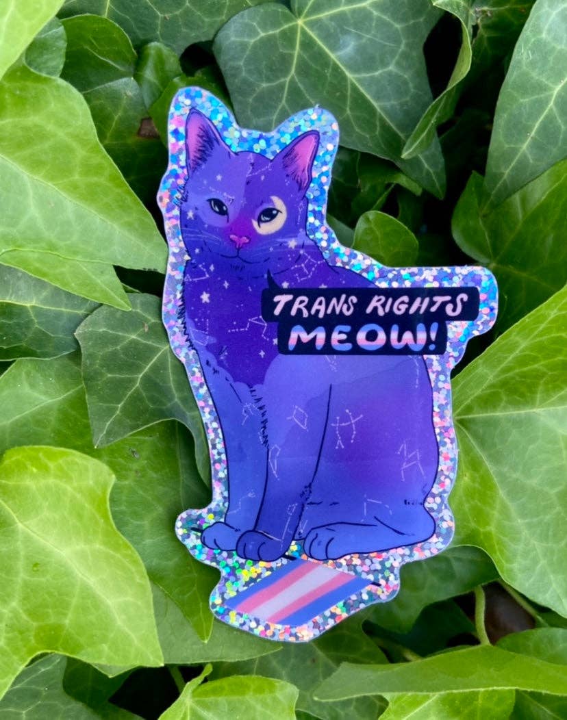 Trans Rights Meow! - Sticker (Glitter) - Image 3