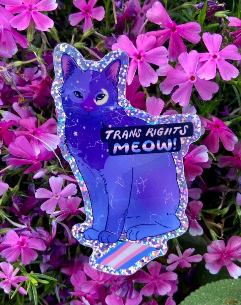 Trans Rights Meow! - Sticker (Glitter) - Image 4
